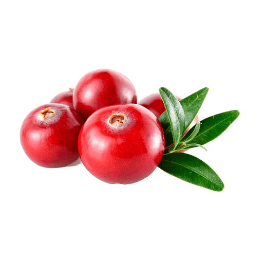 Fruits